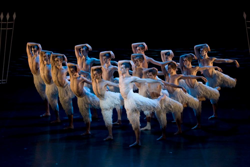 Jonathan Ollivier and swans. Photo: Bill Cooper