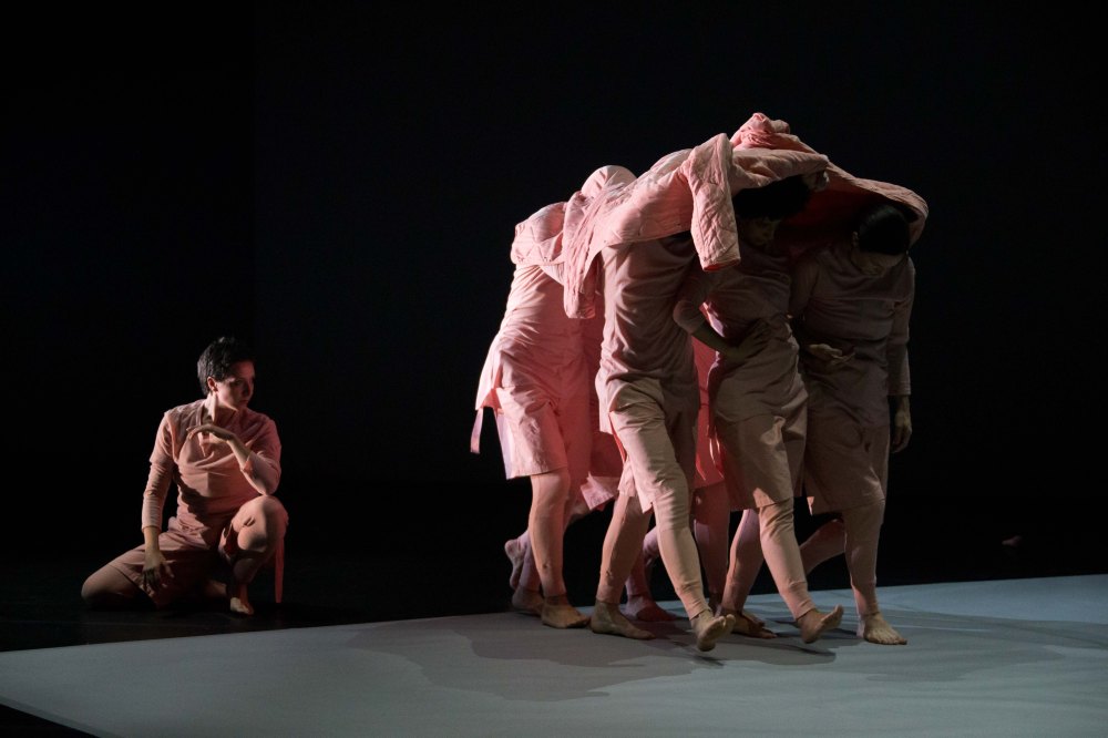 Rules of the Game, Brisbane Festival 2016