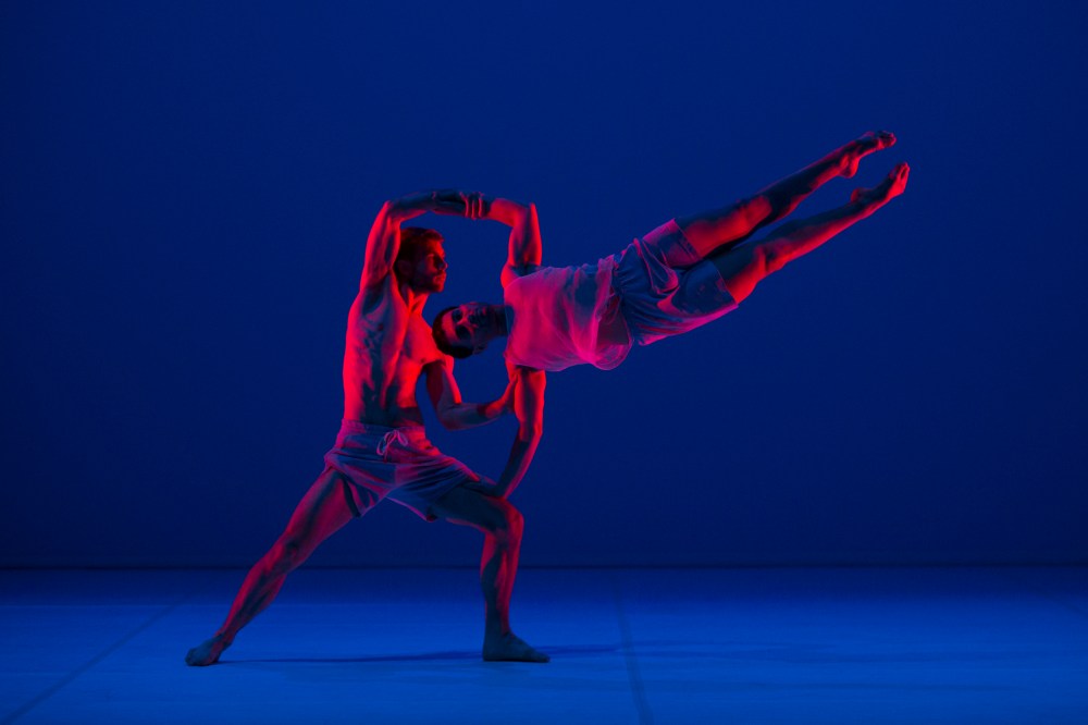 anima_161017_609_hires_bypedrogreig