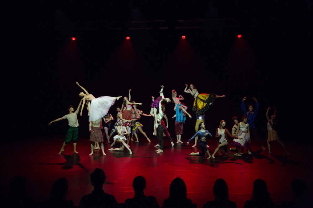 Stephanie Lake's Chameleon. Photo: David Kelly