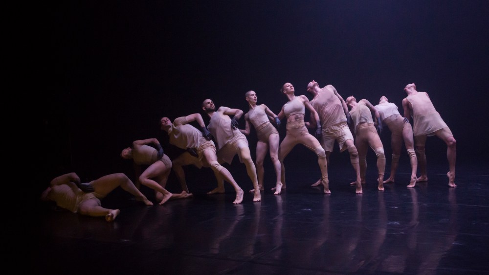 NewBreed_WOOF_171130_039_hires_byPedroGreig