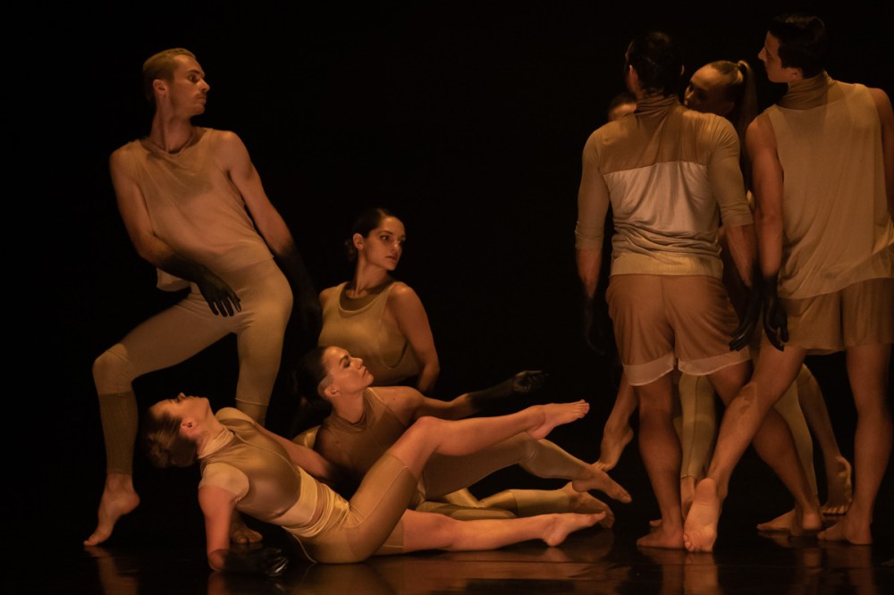 WOOF_190325_0033_web_byPedroGreig