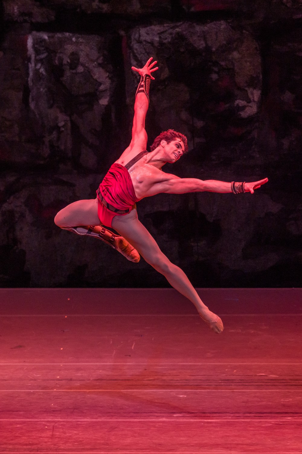 Igor Tsvirko Spartacus