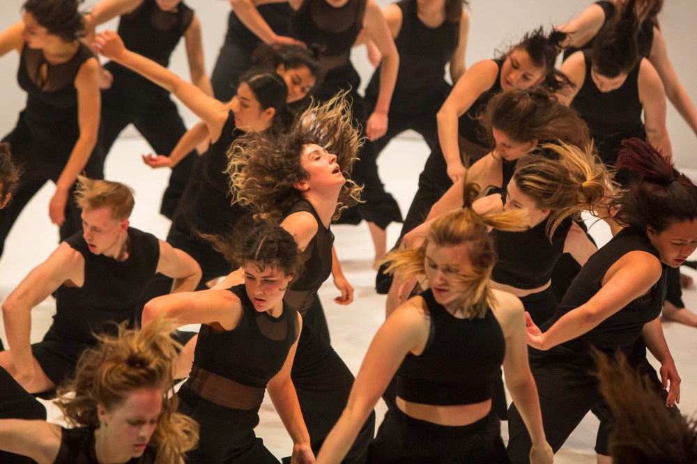 Colossus. Credit Mark Gambino (7)